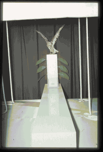 Image for XIV Triennale - Padiglione nel Parco Sempione - Espressioni e produzioni italiane - Centro di "Cospirazione eclettica" - Archizoom Associati