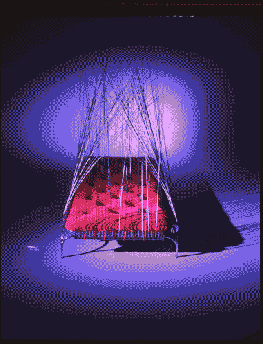 Image for Italia's cup. La notte. Dormire e azioni limitrofe - Letto canneto