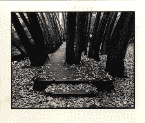 Image for XIX Triennale - Le partecipazioni internazionali - Gli spazi dell'intimità- Grecia - Sistemazione per il parco di Ayia Varvara a Drama