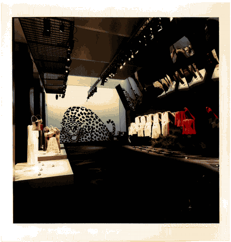 Image for Krizia. Una storia