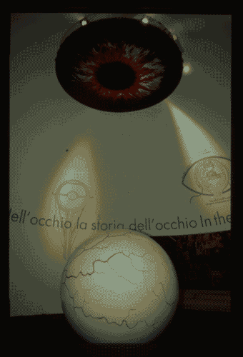 Image for XX Triennale - La memoria e il futuro - Gli occhiali presi sul serio