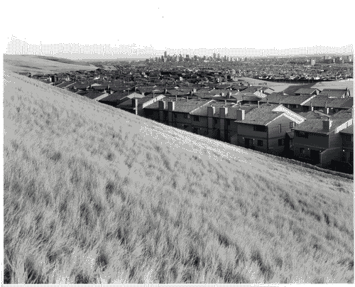 Image for XVII Triennale - Le città del mondo e il futuro delle metropoli - Partecipazioni internazionali - Sezione Canada - Calgary