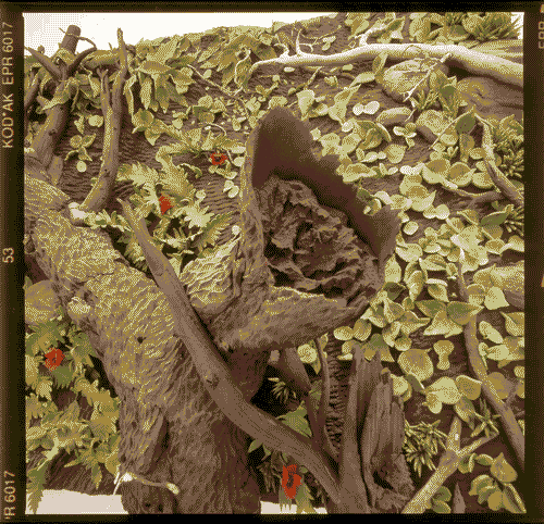 Image for XVIII Triennale - Mostre tematiche - Presenze d'arte in Italia, oggi, tra cose e natura - Piero Gilardi, "Tappeto natura"