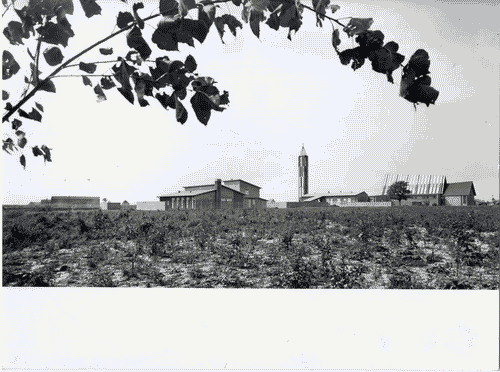 Image for XII Triennale - La casa e la scuola - Settore rurale - Copparo - Frazione Sant'Apollinare - Veduta