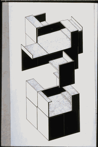 Image for Le affinità elettive - Il viaggio parallelo del libro e della vita