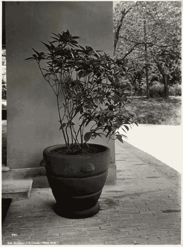 Image for V Triennale - Mostra dell'abitazione - Gruppo di elementi di case popolari di Enrico Griffini e Piero Bottoni