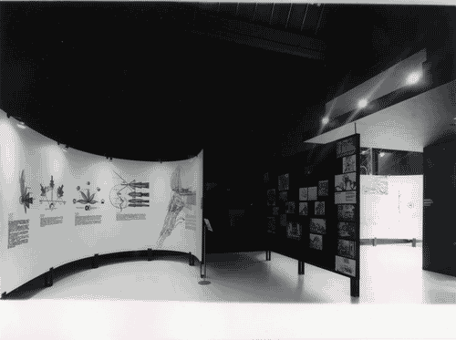 Image for XIV Triennale - Trasformazione dell'ambiente fisico in una società orientata verso i problemi del grande numero - Alexei Gutnoff e Ilia Ledgiava del gruppo NER