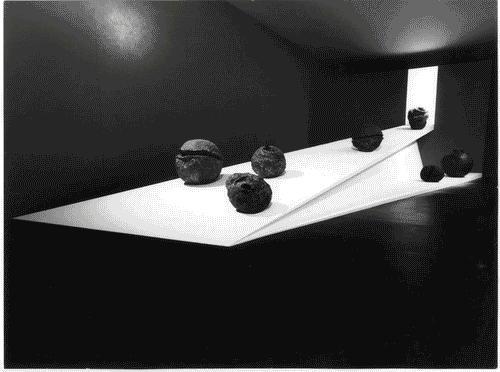 Image for Allestimento della Sala delle Nature della mostra di Lucio Fontana