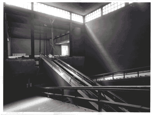 Image for XIV Triennale - Lavori di allestimento - Scalone d'onore - Nastro trasportatore