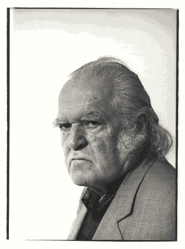 Image for Ritratto maschile - Mario Merz