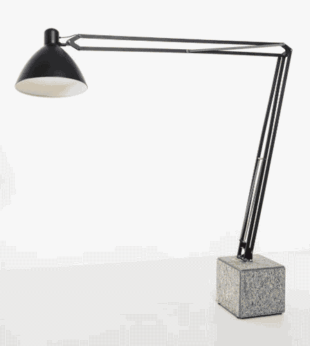 Image for Naska Loris Gigante