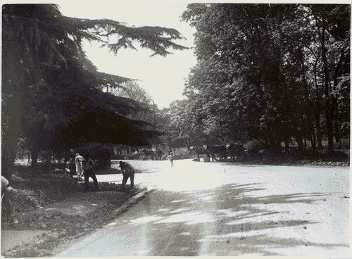 Image for Lavori di sistemazione del parco Sempione