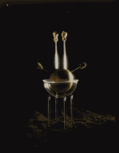 Image for La neomerce - Sempervirens, criogametoforo ad azoto liquido