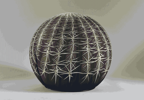 Image for Tattoo Cactus