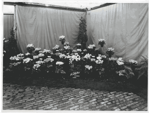 Image for X Triennale - Parco Sempione - Padiglione del fiore - Augusto Magnaghi - Carlo Pagani - Mario Terzaghi