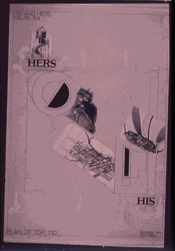 Image for Le affinità elettive - His and Hers