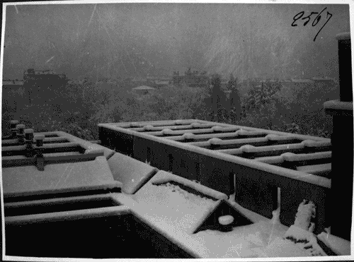 Image for Lavori di costruzione del Palazzo dell'Arte