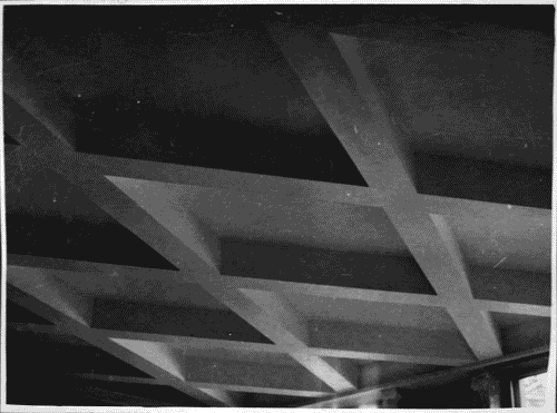 Image for Soffitto del ristorante