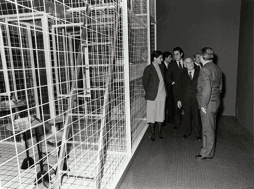 Image for Il progetto domestico - inaugurazione - Peggio, Eugenio - Fanfani, Amintore - Sermisoni, Silvana