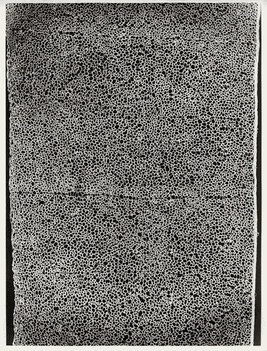 Image for VII Triennale - Mostra del pizzo antico - Merletto di camice a fuselli