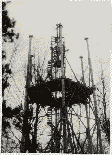 Image for Torre Littoria - Lavori di costruzione