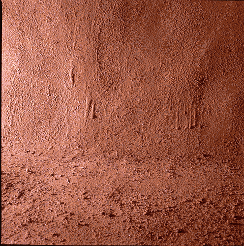 Image for XVIII Triennale - Partecipazioni internazionali - Spagna - Catalogna. Cassa contenente natura morta ancora viva