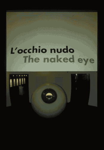 Image for XX Triennale - La memoria e il futuro - Gli occhiali presi sul serio - Ingresso