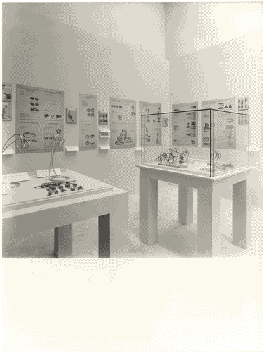 Image for Il luogo del lavoro - Il presente possibile e da pretendere - La casa della topologia