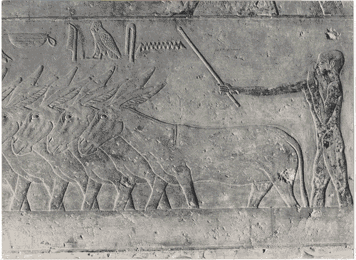 Image for Il luogo del lavoro - Prima della rivoluzione industriale - Fatica manualenell'antico Egitto - Graffiti egizi