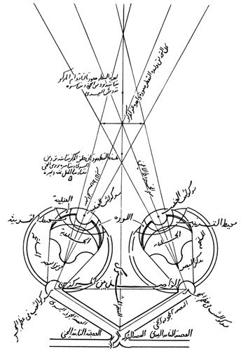 Image for XX Triennale - La memoria e il futuro - Gli occhiali presi sul serio - Schema anatomico funzionale della visione binoculare