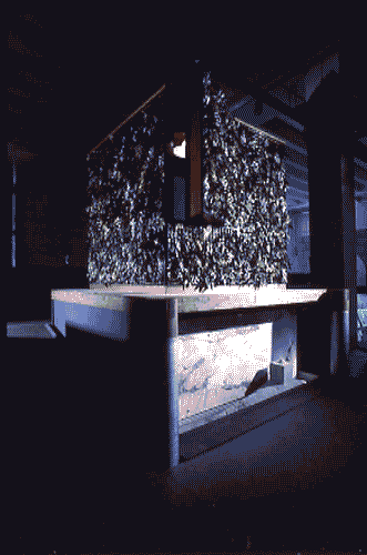 Image for Le affinità elettive - Biblioteca nel giardino (Library in the garden)