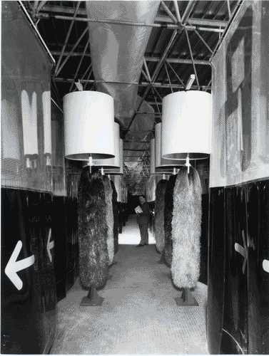 Image for XIV Triennale - Padiglione nel Parco Sempione - Espressioni e produzioni italiane - Terza zona - Spettacolo - Corridoio con spazzole rotanti per lavaggio automobili - Giorgio Ceretti - Pietro Derossi - Riccardo Rosso