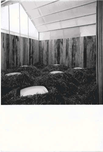 Image for XVI Triennale - Terzo ciclo - Lo spazio audiovisivo - Lo spazio scenografico della televisione italiana - "Water/wind" Videoinstallazione del settore Ricerca parallela