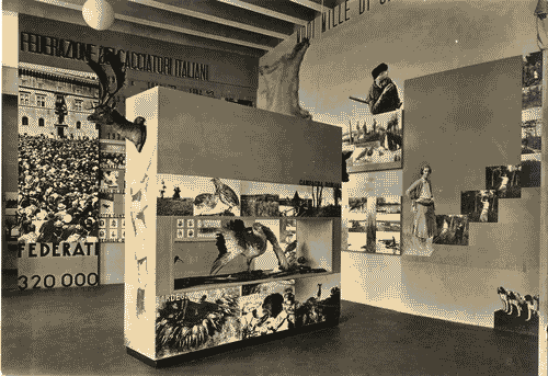 Image for Sezione della caccia - Pasino Bagatti Valsecchi - G. Maggioni