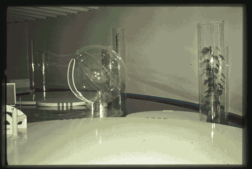 Image for XIV Triennale - Sezioni nazionali - Italia - Michele Platania -Sandra Delfino - Settimo Reconditi