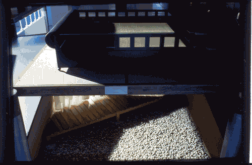 Image for Le affinità elettive - Pavimento=Arredamento (Floor=furniture)