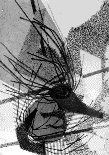 Image for X Triennale - Concorso internazionale per disegni di tessuti stampati per arredamento