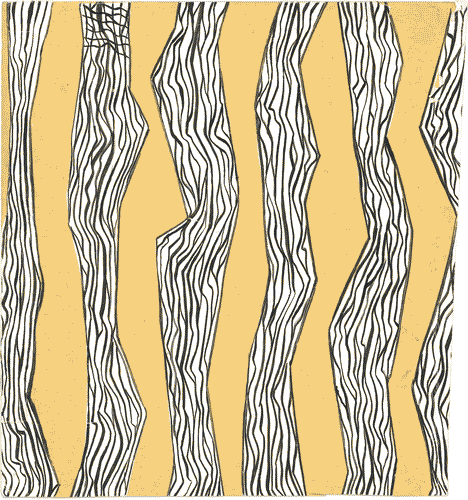 Image for Bozzetto per carta di rivestimento scatole