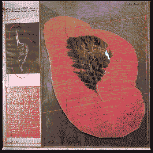 Image for XVII Triennale - Le città del mondo e il futuro delle metropoli - Oltre la città la metropoli - sezione Arte (produzione artistica e comportamenti culturali) - "Surrounded Island" di Christo