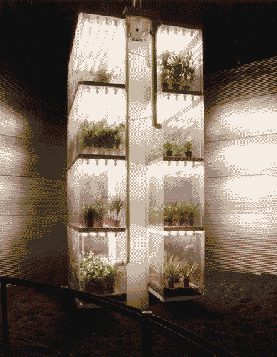 Image for XVIII Triennale - Mostre tematiche - La natura delle cose - Fitotrone