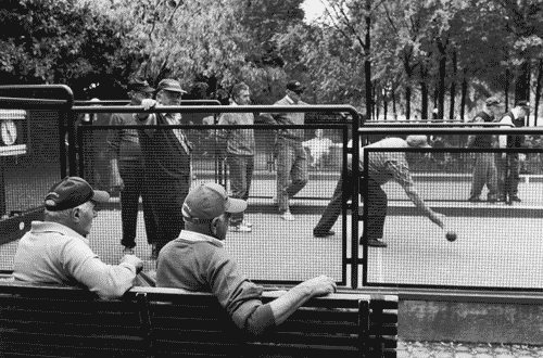 Image for XX Triennale - La città infinita