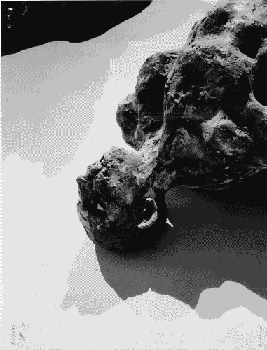 Image for Gruppo scultoreo "caccia al cinghiale"